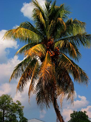 0266- River Kwai - Kanchanaburi.jpg